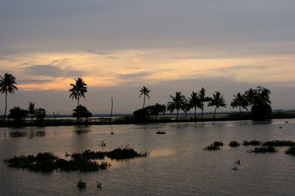 vembanad (2).jpg